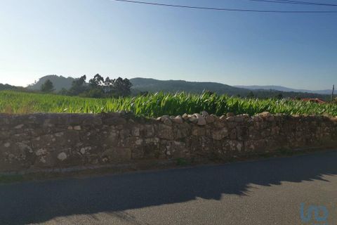 Terra a Esposende, Braga, Esposende - € 319.000 | Ref: 146053 - foto 3