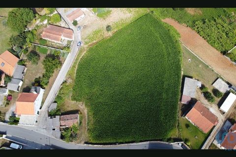 Terra a Esposende, Braga, Esposende - € 319.000 | Ref: 146053 - foto 5
