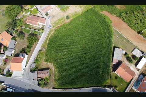 Terra a Esposende, Braga, Esposende - € 319.000 | Ref: 146053 - foto 6