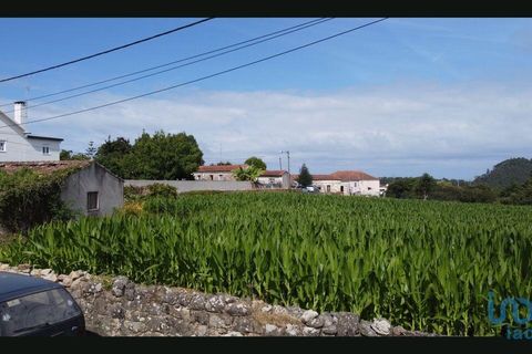 Terra a Esposende, Braga, Esposende - € 319.000 | Ref: 146053 - foto 8
