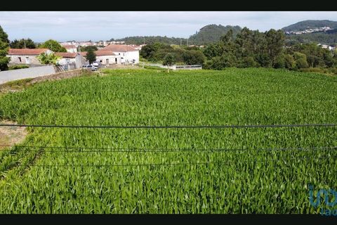 Terra a Esposende, Braga, Esposende - € 319.000 | Ref: 146053 - foto 9