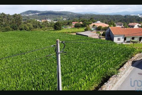 Terra a Esposende, Braga, Esposende - € 319.000 | Ref: 146053 - foto 10