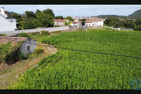 Terra a Esposende, Braga, Esposende - € 319.000 | Ref: 146053 - foto 12