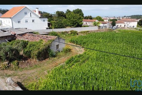 Terra a Esposende, Braga, Esposende - € 319.000 | Ref: 146053 - foto 13