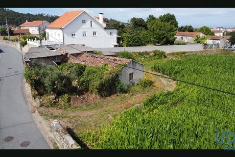 Terra a Esposende, Braga, Esposende - € 319.000 | Ref: 146053 - foto 14