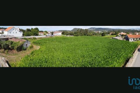 Terra a Esposende, Braga, Esposende - € 319.000 | Ref: 146053 - foto 15