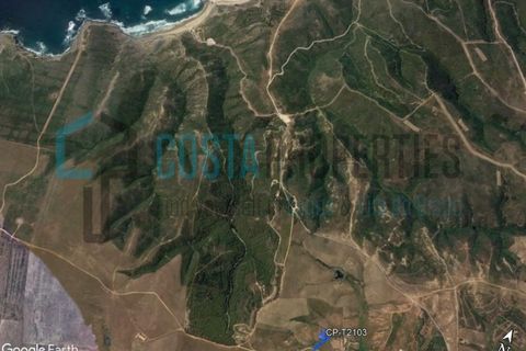 Helårsgrund i Sagres, Faro, Sagres - € 13.000 | Ref: CP-T2103 - foto 3