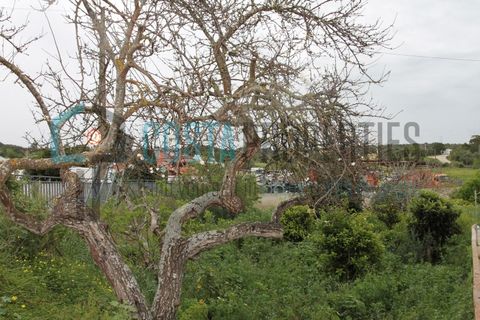 Helårsgrund i Sagres, Faro, Sagres - € 106.000 | Ref: CP-T2416 - foto 6