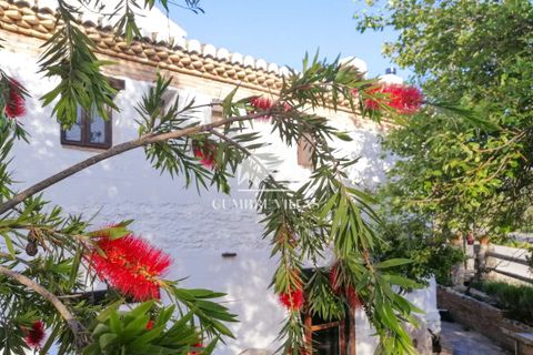 Landejendom i Lecrin, Granada, Lecrin - € 1.650.000 | Ref: 2141 - foto 9