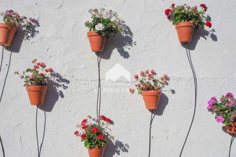 Landejendom i Lecrin, Granada, Lecrin - € 1.650.000 | Ref: 2141 - foto 23
