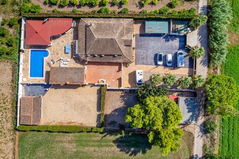 Finca i Almoradi, Alicante, Almoradi - € 595.000 | Ref: 744778 - foto 3