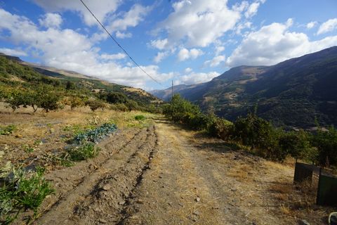 Landejendom i Busquistar, Granada, Busquistar - € 495.000 | Ref: BTC590 - foto 31