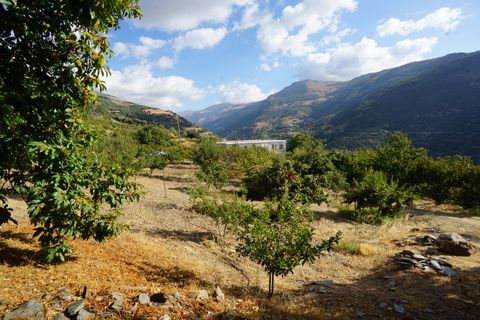 Landejendom i Busquistar, Granada, Busquistar - € 495.000 | Ref: BTC590 - foto 33