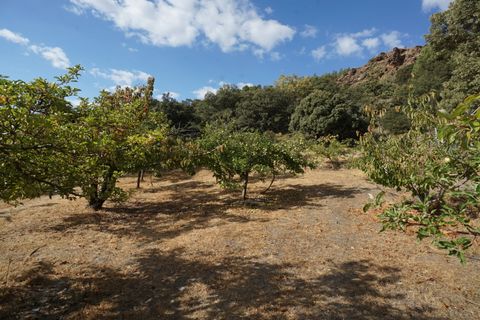 Landejendom i Busquistar, Granada, Busquistar - € 495.000 | Ref: BTC590 - foto 37