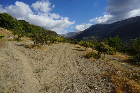 Landejendom i Busquistar, Granada, Busquistar - € 495.000 | Ref: BTC590 - foto 41