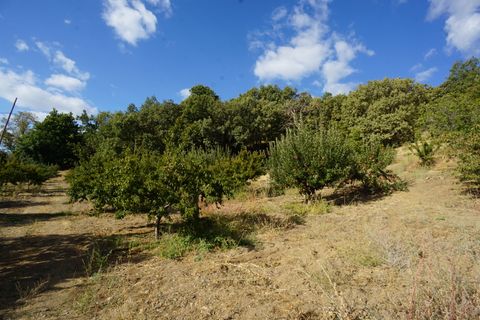 Landejendom i Busquistar, Granada, Busquistar - € 495.000 | Ref: BTC590 - foto 32