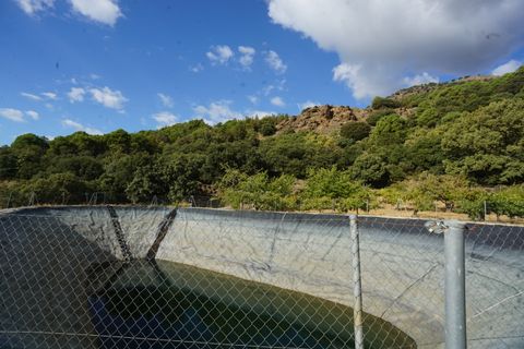 Landejendom i Busquistar, Granada, Busquistar - € 495.000 | Ref: BTC590 - foto 39