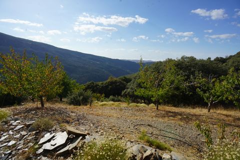 Landejendom i Busquistar, Granada, Busquistar - € 495.000 | Ref: BTC590 - foto 36
