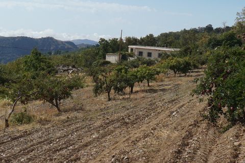 Landejendom i Busquistar, Granada, Busquistar - € 495.000 | Ref: BTC590 - foto 42