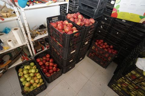 Landejendom i Busquistar, Granada, Busquistar - € 495.000 | Ref: BTC590 - foto 24