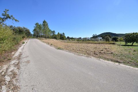 Helårsgrund i Ansiao, Leiria, Ansiao - € 42.000 | Ref: C0234-02804 - foto 4