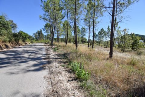 Helårsgrund i Ansiao, Leiria, Ansiao - € 42.000 | Ref: C0234-02804 - foto 6