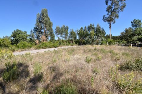 Helårsgrund i Ansiao, Leiria, Ansiao - € 21.000 | Ref: C0234-02805 - foto 5