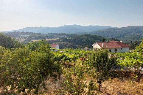 Villa i Melgaco, Viana do Castelo, Melgaco - € 380.000 | Ref: SF-SAFTI:007228 - foto 9
