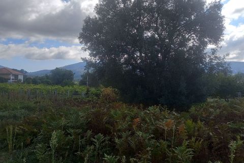 Villa i Moncao, Viana do Castelo, Moncao - € 75.000 | Ref: SF-SAFTI:007229 - foto 2