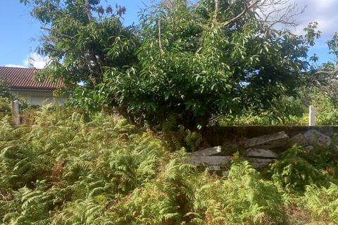 Villa i Moncao, Viana do Castelo, Moncao - € 75.000 | Ref: SF-SAFTI:007229 - foto 3
