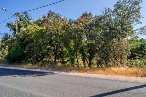 Helårsgrund i Fatima, Santarem, Fatima - € 150.000 | Ref: SF-SAFTI:007221 - foto 3