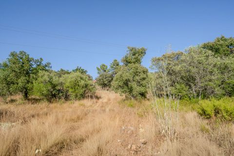 Helårsgrund i Fatima, Santarem, Fatima - € 150.000 | Ref: SF-SAFTI:007221 - foto 7