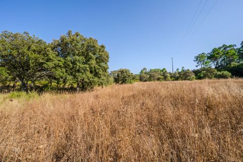 Helårsgrund i Fatima, Santarem, Fatima - € 150.000 | Ref: SF-SAFTI:007221 - foto 8