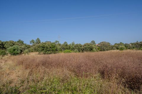 Helårsgrund i Fatima, Santarem, Fatima - € 150.000 | Ref: SF-SAFTI:007221 - foto 9
