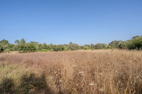 Helårsgrund i Fatima, Santarem, Fatima - € 150.000 | Ref: SF-SAFTI:007221 - foto 10