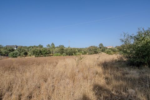 Helårsgrund i Fatima, Santarem, Fatima - € 150.000 | Ref: SF-SAFTI:007221 - foto 11