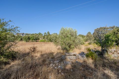 Helårsgrund i Fatima, Santarem, Fatima - € 150.000 | Ref: SF-SAFTI:007221 - foto 12