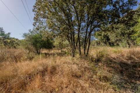 Helårsgrund i Fatima, Santarem, Fatima - € 150.000 | Ref: SF-SAFTI:007221 - foto 13
