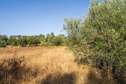 Helårsgrund i Fatima, Santarem, Fatima - € 150.000 | Ref: SF-SAFTI:007221 - foto 14