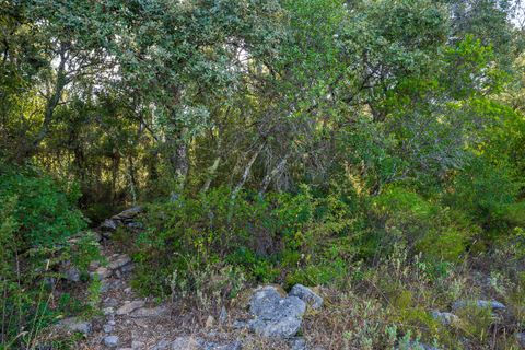 Helårsgrund i Fatima, Santarem, Fatima - € 150.000 | Ref: SF-SAFTI:007221 - foto 15