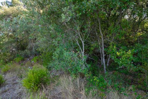 Helårsgrund i Fatima, Santarem, Fatima - € 150.000 | Ref: SF-SAFTI:007221 - foto 16