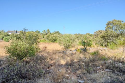 Helårsgrund i Fatima, Santarem, Fatima - € 150.000 | Ref: SF-SAFTI:007221 - foto 17