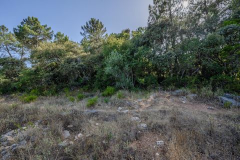 Helårsgrund i Fatima, Santarem, Fatima - € 150.000 | Ref: SF-SAFTI:007221 - foto 20