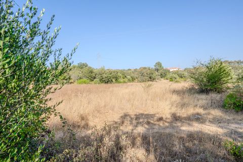 Helårsgrund i Fatima, Santarem, Fatima - € 150.000 | Ref: SF-SAFTI:007221 - foto 21