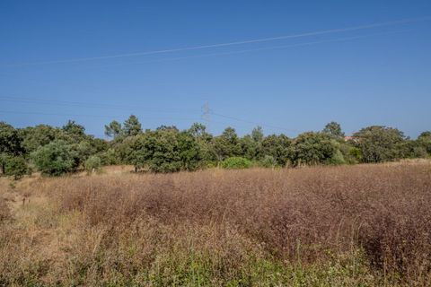 Helårsgrund i Fatima, Santarem, Fatima - € 150.000 | Ref: SF-SAFTI:007221 - foto 22