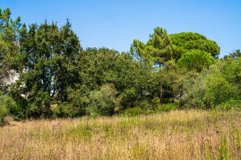 Helårsgrund i Alcobaca, Leiria, Alcobaca - € 42.000 | Ref: SF-SAFTI:007186 - foto 2