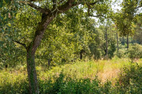 Helårsgrund i Alcobaca, Leiria, Alcobaca - € 42.000 | Ref: SF-SAFTI:007186 - foto 4