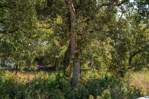 Helårsgrund i Alcobaca, Leiria, Alcobaca - € 42.000 | Ref: SF-SAFTI:007186 - foto 5