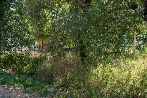 Helårsgrund i Alcobaca, Leiria, Alcobaca - € 42.000 | Ref: SF-SAFTI:007186 - foto 6