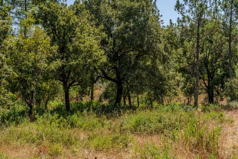 Helårsgrund i Alcobaca, Leiria, Alcobaca - € 42.000 | Ref: SF-SAFTI:007186 - foto 8